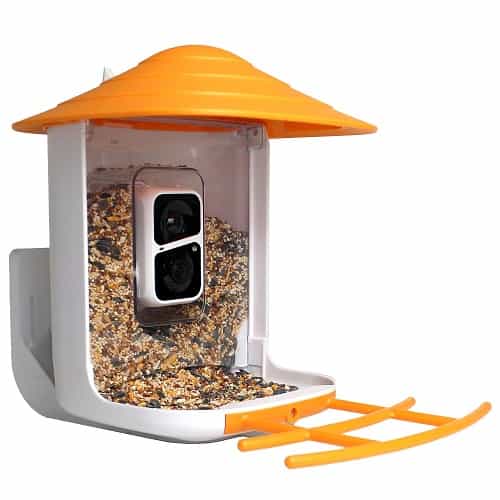 Bird Feeder Camera Kit with Wooden Feeding Station